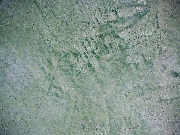 Kaminwand_gruen_detail