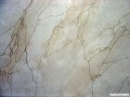 img000972